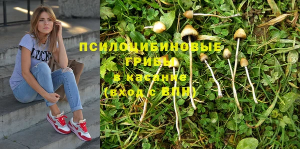 прущий лед Аркадак