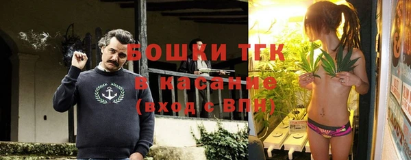не бодяженный Арсеньев